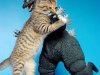 2019.09.27-The-Cats